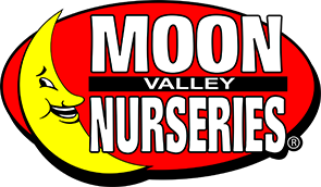 Tree And Plant Nursery Home Moon Valley Nurseries Tree And Plant Nursery Home Moon
