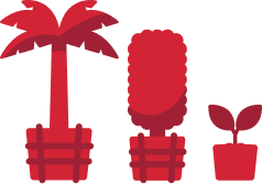 Our Premium Tree Selection