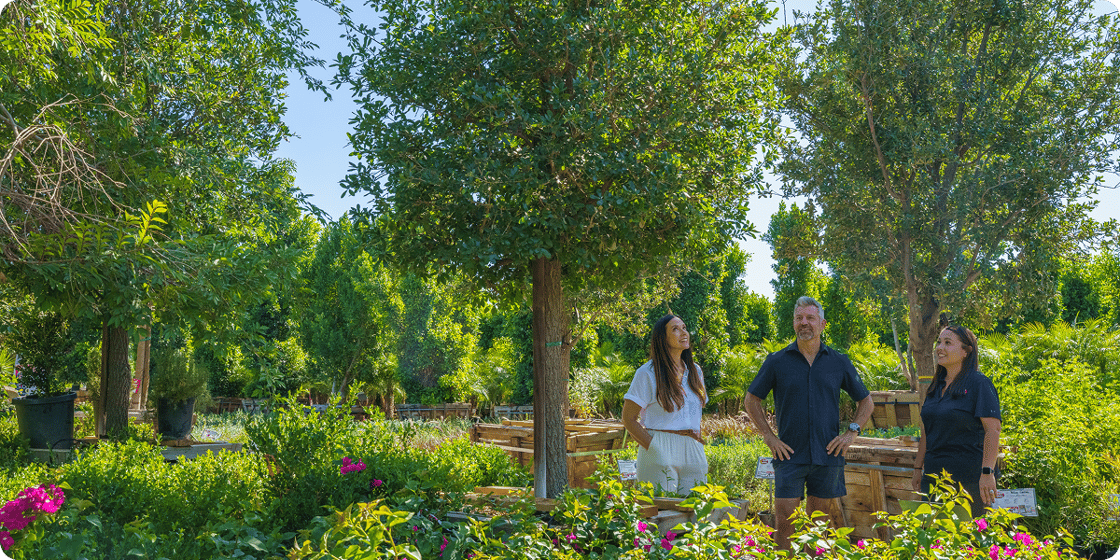 Premium Nursery Experience