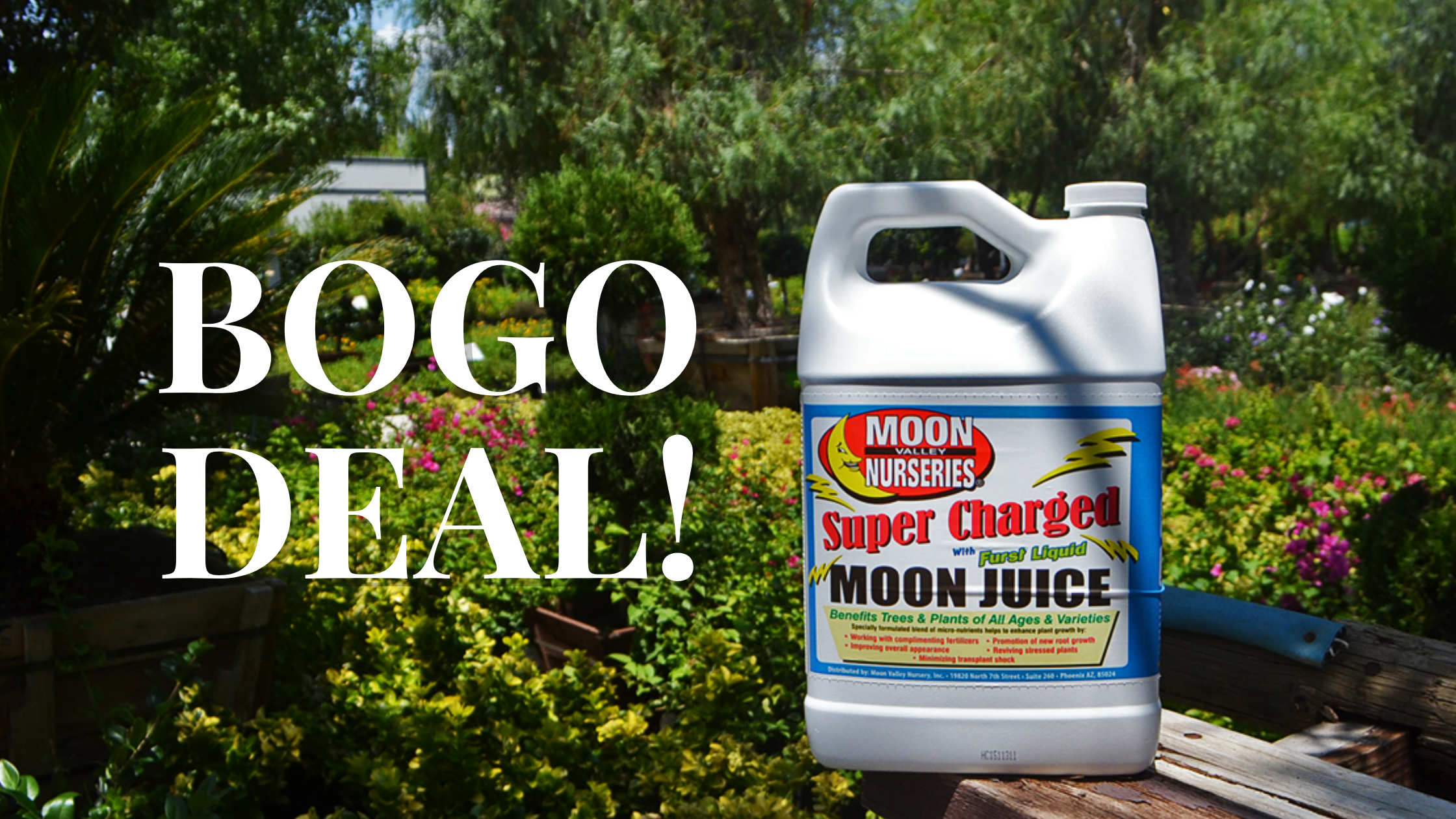 Buy One Get One Free, Moon Juice