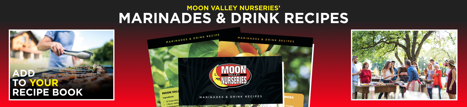 Marinades and Drink Recipes